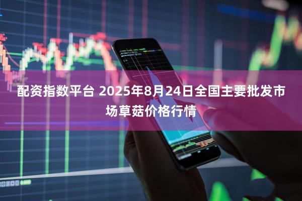 配资指数平台 2025年8月24日全国主要批发市场草菇价格行情